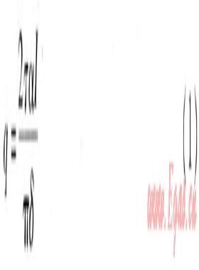真空管太陽能集熱系統(tǒng)溫度場(chǎng)、速度場(chǎng)模擬