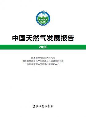2020中國天然氣發(fā)展報告（含2017、2018、2019、2020）